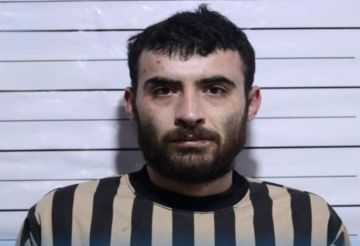 الأمن السوري يقبض على حيحو على الحدود مع لبنان الأمن السوري يقبض على حيحو على الحدود مع لبنان