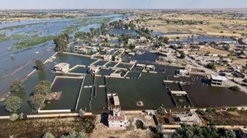 وزارة الزراعة تعوض مزارعين خسروا محاصيلهم جراء القيضانات وزارة الزراعة تعوض مزارعين خسروا محاصيلهم جراء القيضانات