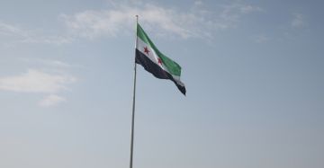هآرتس: دمشق تتجنب الفخ الإسرائيلي وتكثف اتصالاتها بواشنطن وباريس لوقف التصعيد