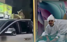 لبوة تهاجم طفلا شمال سوريا (فيديو)
