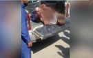 قتيلان بينهما طفل وإصابة آخر بانفجار قنبلة يدوية وسط الحسكة