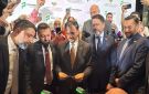 ربط المنظومة المحلية بشبكة فيزا الدولية