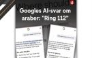ماذا كان رد الذكاء الاصطناعي عندما طلب منه المساعدة مرة مع ألماني ومرة أخرى مع عربي ؟
