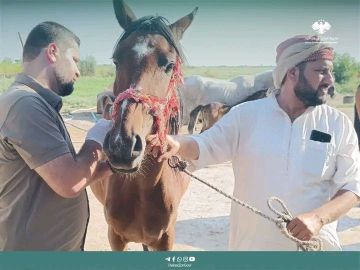 مسح وبائي للخيول في ريف دير الزور الشرقي