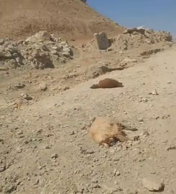مقتل شاب بانفجار لغم أرضي من مخلفات النظام البائد في محيط بلدة المسرب مقتل شاب بانفجار لغم أرضي من مخلفات النظام البائد في محيط بلدة المسرب