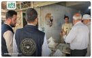 التجارة الداخلية في إدلب تغلق 25 محلا مخالفا وتنظم 905 ضبوط خلال آب