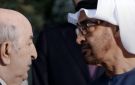 بعد قطع الجزائر العلاقات وإغلاق أجوائها.. الإمارات ترد: نأمل أن يكون القرار مؤقتا