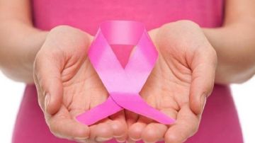 الحمامات تختتم شهر أكتوبر الوردي بيوم صحي شامل  الحمامات تختتم شهر أكتوبر الوردي بيوم صحي شامل