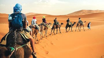 توزر: ارتفاع في وتيرة الحجوزات بالوحدات السياحية بنسبة 15,2 بالمائة توزر: ارتفاع في وتيرة الحجوزات بالوحدات السياحية بنسبة 15,2 بالمائة