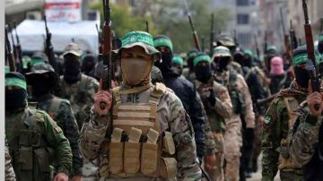 جنجويد غزة .. ميليشيات تطعن المقاومة في العلن