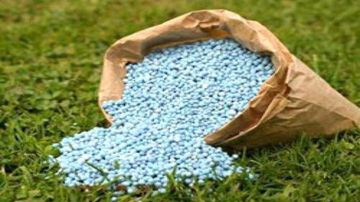 باجة: رئيس اتحاد الفلاحة يدعو إلى توفير الأسمدة باجة: رئيس اتحاد الفلاحة يدعو إلى توفير الأسمدة