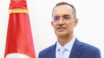 وزير الفلاحة يعلن عن جملة من الإجراءات لفائدة موسم زيت الزيتون وزير الفلاحة يعلن عن جملة من الإجراءات لفائدة موسم زيت الزيتون