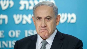 نبض الصحافة العربية والدولية ...بعد استعادة الرهائن من غزة.. نتنياهو قد يعود إلى الحرب في أي لحظة