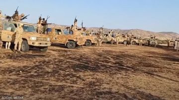 السودان.. قوات الدعم السريع تعلن سيطرتها على مدينة الفاشر السودان.. قوات الدعم السريع تعلن سيطرتها على مدينة الفاشر