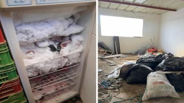 حجز أكثر من 11 طنا من المواد الغذائية الفاسدة بعدد من الولايات