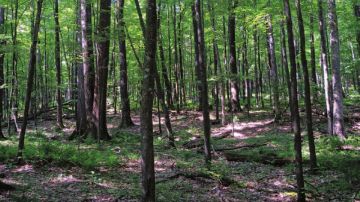 زيارة الحدائق الوطنية والمحميات الطبيعية يخضع للموافقة المسبقة زيارة الحدائق الوطنية والمحميات الطبيعية يخضع للموافقة المسبقة