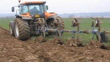 منوبة: تطور بنسبة 5 بالمائة في مساحات الزراعات الكبرى المبرمجة للبذر