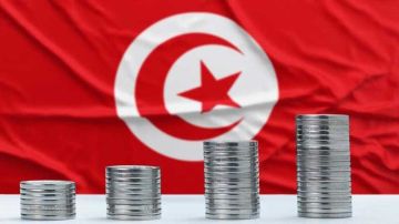 وزارة المالية: انخفاض ملحوظ في حجم الدين الخارجي لتونس وزارة المالية: انخفاض ملحوظ في حجم الدين الخارجي لتونس