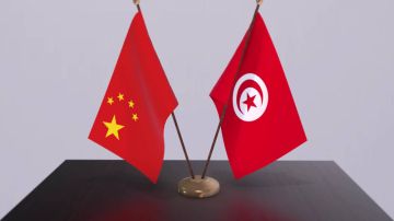 وفرت اكثر من 1100 وظيفة.. الشركات الصينية المستقرة بتونس بلغت 22 مؤسسة وفرت اكثر من 1100 وظيفة.. الشركات الصينية المستقرة بتونس بلغت 22 مؤسسة