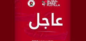 أكثر من عشرين سفينة إسرائيلية تحوم حول أسطول الصمود (فيديو)