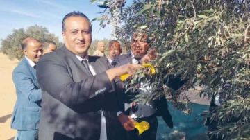 في افتتاح موسم الزيتون بصفاقس .. عودة معصرة الشعال بعد 9 سنوات في افتتاح موسم الزيتون بصفاقس .. عودة معصرة الشعال بعد 9 سنوات