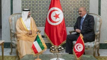 وزير الخارجية يتسلم رسالة خطية موجهة الى رئيس الجمهورية من أمير دولة الكويت وزير الخارجية يتسلم رسالة خطية موجهة الى رئيس الجمهورية من أمير دولة الكويت