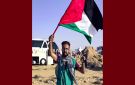 رأي طارق الكحلاوي يخصوض ايقاف من عدمه الناشط غسان بوغديري - tn