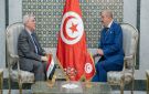التعاون الثنائي والقضايا ذات الاهتمام المشترك أبرز محاور جلسة مباحثات تونسية - عراقية - tn