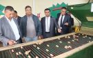 تحفيز الباعثين لخلق مشاريع استثمارية تشغيلية في مدينة طبرقة - tn