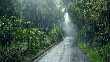 أعلاها في بني مطير...كميات الأمطار المسجلة خلال الـ24 ساعة الماضية