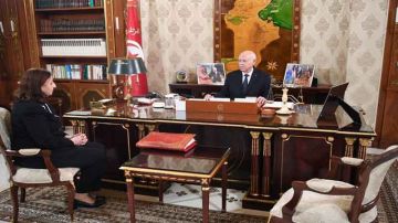 رئيس الدولة خلال لقائه رئيسة الحكومة ... تونس لا تحتاج إلى كفاءات دون وطنية