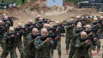 منذ بداية العدوان على غزة...ألف طائرة تنقل لإسرائيل 120 ألف طن من العتادالعسكري منذ بداية العدوان على غزة...ألف طائرة تنقل لإسرائيل 120 ألف طن من العتادالعسكري