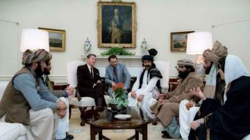 عملية سيكلون صناعة الجهاد العميل عملية سيكلون صناعة الجهاد العميل