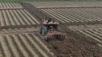 نحو ابرام اتفاقية شراكة في القطاع الفلاحي مع الباكستان