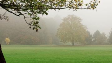 طقس اليوم: ضباب محلي والحرارة في ارتفاع طفيف