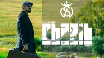 غريب جديد الفنان وليد الصالحي