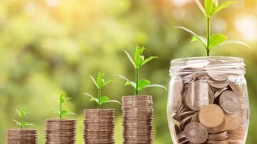 مفتي الجمهورية يعلن عن مقدار زكاة الزيتون والتمر وسائر الثمار