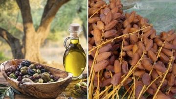 الإعلان عن إجراءات استثنائية لنقل وتوزيع صابة التمور والتفاح والقوارص والرمان والزيتون