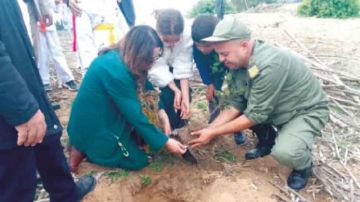 نابل .. العيد الوطني للشجرة ... 720 ألف شتلة... للغراسة نابل .. العيد الوطني للشجرة ... 720 ألف شتلة... للغراسة