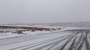 الخميس:تواصل انخفاض الحرارة مع تساقط الثلوج بهذه الجهات