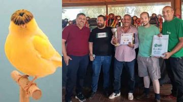 نابل: البطولة الثالثة الخاصـة بطائـر القلستر... حب الجمال والطبيعة نابل: البطولة الثالثة الخاصـة بطائـر القلستر... حب الجمال والطبيعة