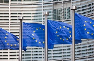 البرلمان الأوروبي ينتقد تدهور وضع حقوق الإنسان في تونس البرلمان الأوروبي ينتقد تدهور وضع حقوق الإنسان في تونس