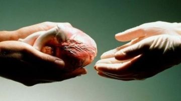 مركز النهوض بزرع الأعضاء...15 عملية في أقل من شهر واحد مركز النهوض بزرع الأعضاء...15 عملية في أقل من شهر واحد