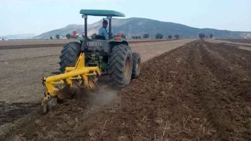 أندا تمويل توفر قروضا فلاحية بقيمة 40 مليون دينار لتمويل مشاريع فلاحية