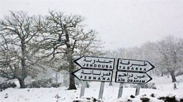 جندوبة: تساقط الثلوج بمرتفعات عين دراهم وغار الدماء جندوبة: تساقط الثلوج بمرتفعات عين دراهم وغار الدماء