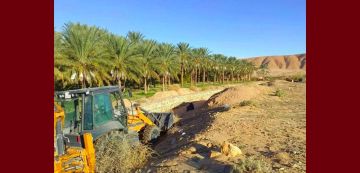 توزر: حماية من زحف الرمال، حملة تشجير بمعتمديتي حزوة و تمغزة