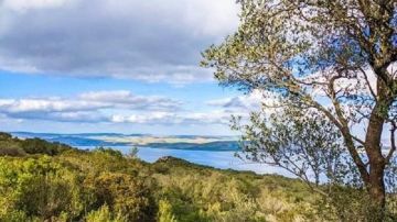 طقس اليوم: مغيم جزئيا بأغلب المناطق