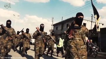 سوريا تنفذ عمليات استباقية ضد خلايا تنظيم داعش سوريا تنفذ عمليات استباقية ضد خلايا تنظيم داعش