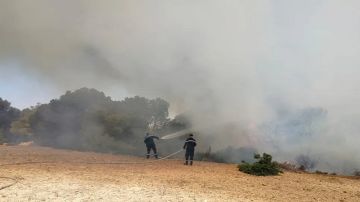 سليانة: الحرائق تتسبب في إتلاف 1264 هكتارا من النسيج الغابي سليانة: الحرائق تتسبب في إتلاف 1264 هكتارا من النسيج الغابي