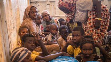 التصنيف الأممي يعلن مجاعة غير مسبوقة في الفاشر وكادوقلي التصنيف الأممي يعلن مجاعة غير مسبوقة في الفاشر وكادوقلي